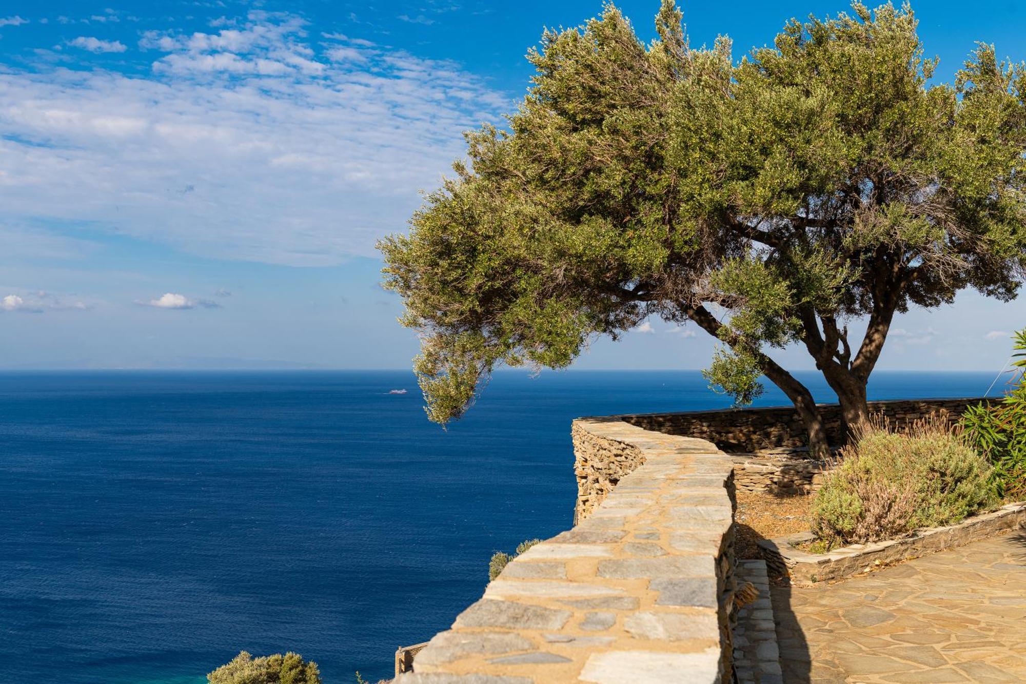 Andros Serenity Retreat - Adults Only Episkopion  Buitenkant foto