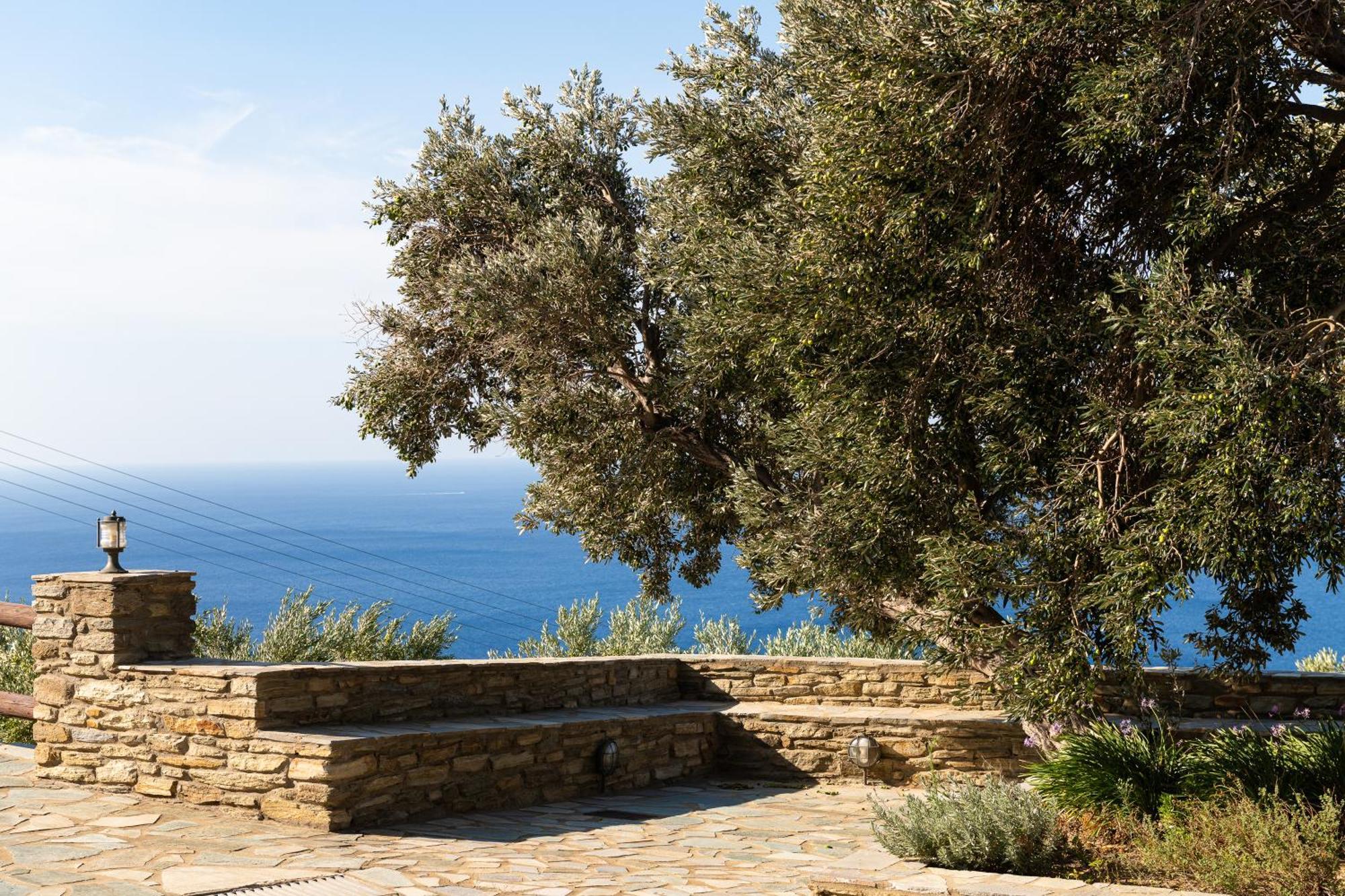 Andros Serenity Retreat - Adults Only Episkopion  Buitenkant foto